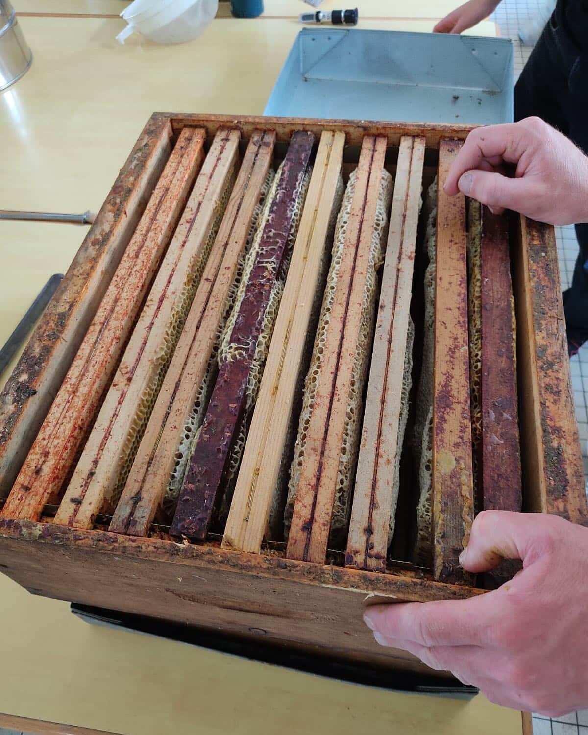 Récolte_Miel_Mise_en_Pot